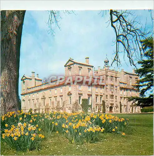 Cartes postales moderne Wilton House South East View in Spring Time