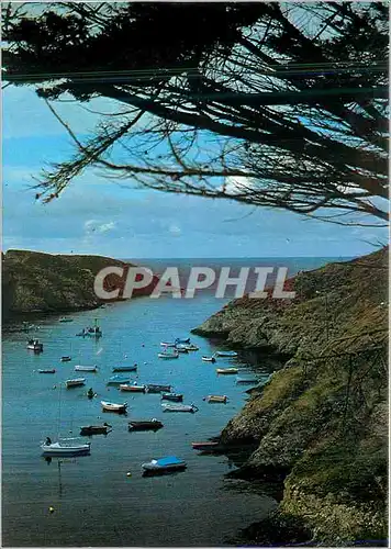Cartes postales moderne Belle Ile en Mer (Morbihan) Port de Goulphar