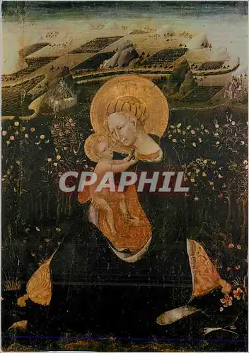 Cartes postales moderne Siena Pinacoleca Notre Dame avec l'Enfant