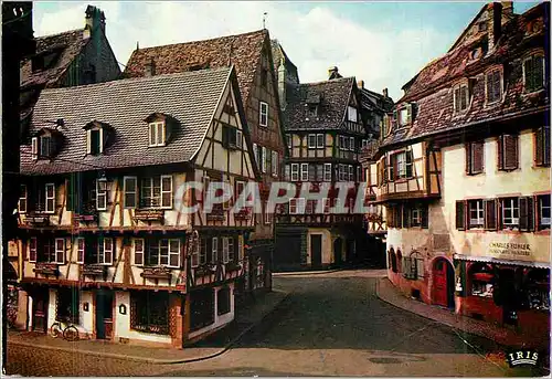 Cartes postales moderne Colmar Rue des Marchands l'Alsace Pittoresque