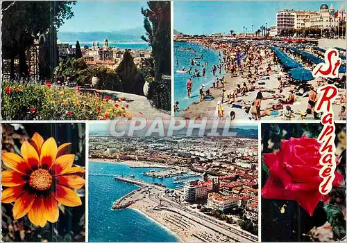 Cartes postales moderne Saint Raphael (Var) Reflets de la Cote d'Azur