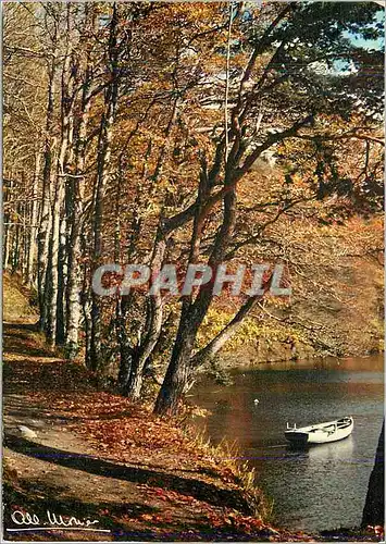 Cartes postales moderne Environs de Super Besse (Puy de Dome) l'Automne au Lac Pavin