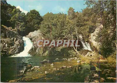 Cartes postales moderne le Saut de Gouloux (Nievre) le Morvan Touristique