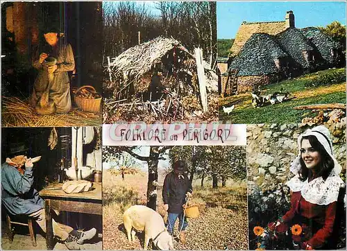 Moderne Karte Folklore en Perigord Gaveuse d'Oie Feuillardier Village de Cabanes Cochon Porc