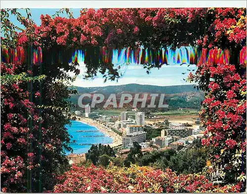 Cartes postales moderne le Lavandou la Cote d'Azur Vue Generale