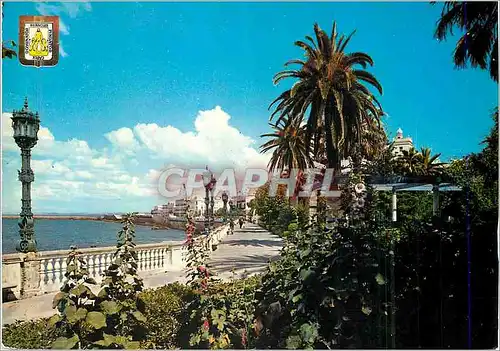 Cartes postales moderne Cadiz Peupleraie Marques de Comillas