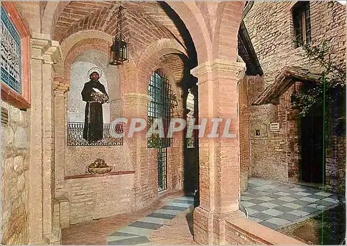 Cartes postales moderne Assisi Saint Francois et les Tourterelles