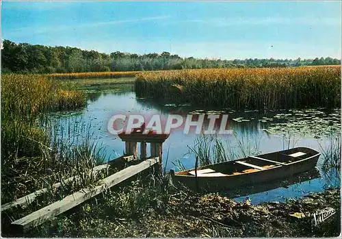 Moderne Karte En Sologne l'Etang