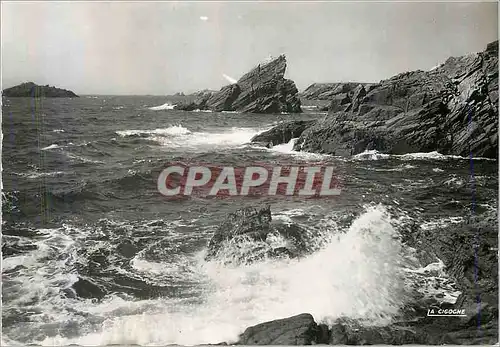 Cartes postales moderne Quiberon (Morbihan) la Cote Sauvage a la Pointe de Kervihan