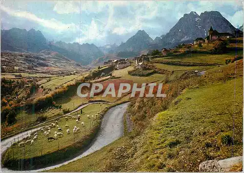 Cartes postales moderne Moutons dans les Lacets du Col d'Aspin Nos Belles Pyrenees