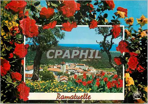 Cartes postales moderne Ramatuelle (Var) La Cote d'Azur Vue Generale