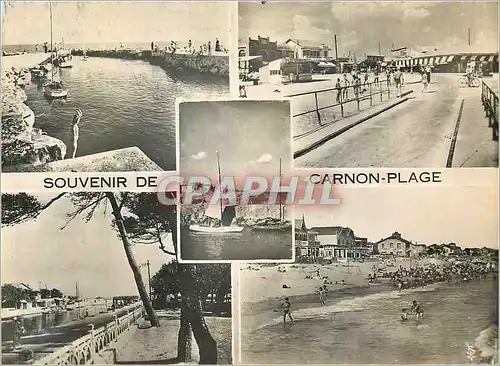Moderne Karte Souvenir de Carnon Plage (Herault)