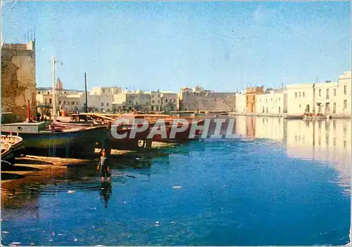 Cartes postales moderne Bizerte Vue du Vieux Port