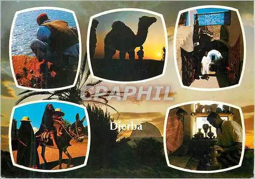 Cartes postales moderne Souvenir de Djerba