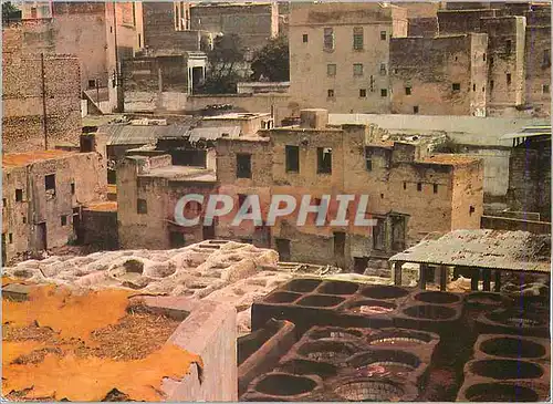 Cartes postales moderne Fes Les Tenneries de Blida