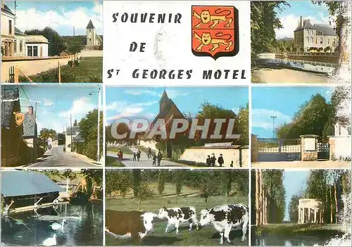 Cartes postales moderne Souvenir de St Georges Motel