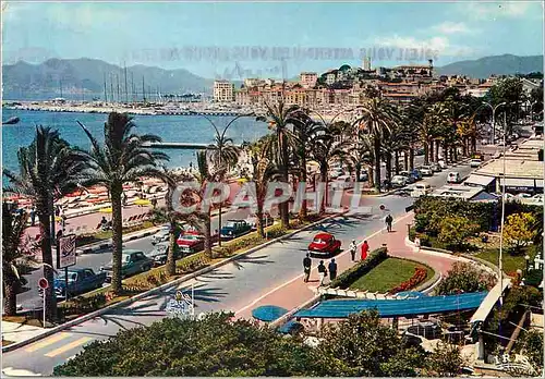 Cartes postales moderne Cannes (A M) French Riviera La Cote d'Azur La Croisette et le Suquet