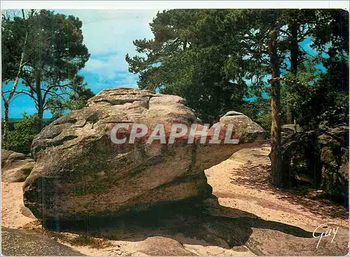 Moderne Karte Nemours (Seine et Marne) Aux Rochers Greau La Tortue