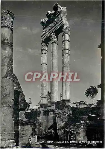 Cartes postales moderne Roma Avanzi Del Tempio Di Venere