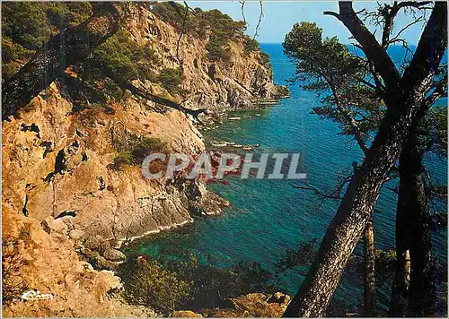 Cartes postales moderne Cote d'Azur Calanque de l'Oustaou de Dion