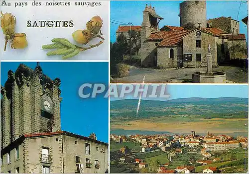 Cartes postales moderne Saugues (Hte Loire) Alt 960m