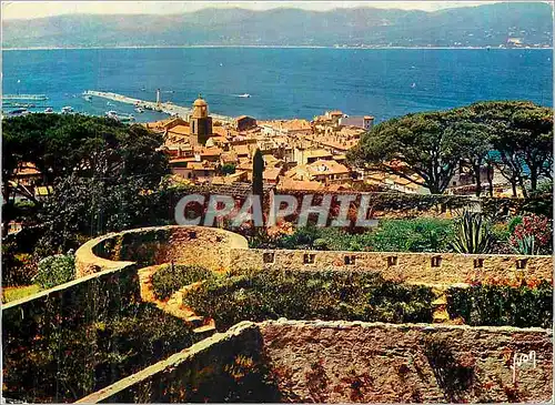 Cartes postales moderne Saint Tropez (Var) la Cote d'Azur Miracle de la Nature Couleurs et Lumiere de France