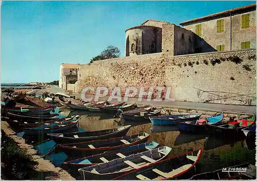 Cartes postales moderne Meze (Herault) Port des Barques Eglise des Penitents