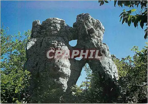 Cartes postales moderne les Vans (Ardeche) Alt 170m Bois de Paiolive l'Ours et le Lion