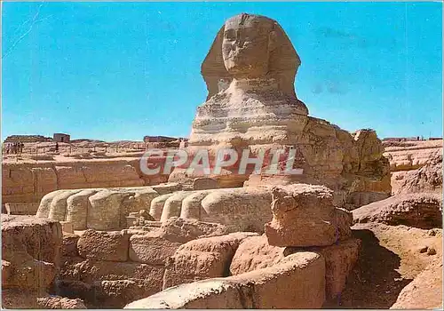 Cartes postales moderne Giza the Sphinx