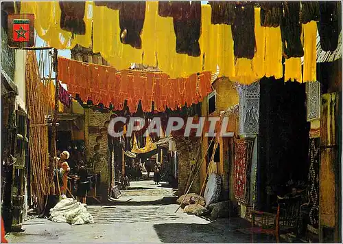 Cartes postales moderne Marrakech Tintoreros