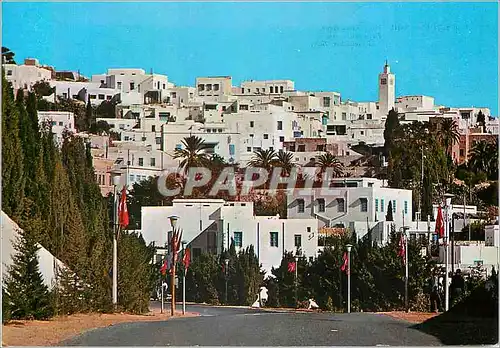 Moderne Karte Sidi Bou Said Tunisie Vue Panoramique