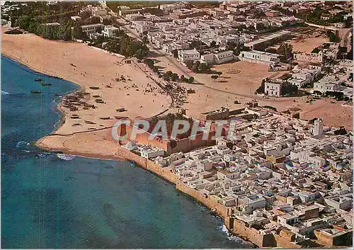 Cartes postales moderne Hammamet Vue Sur la Medina