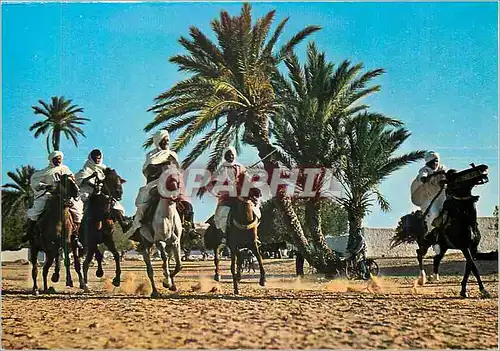 Cartes postales moderne Tunisie Fantase