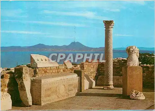 Moderne Karte Carthage Antiquarium