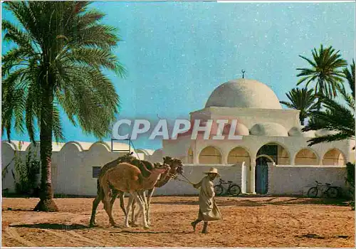 Moderne Karte Djerba la Mosquee de Mahboubine