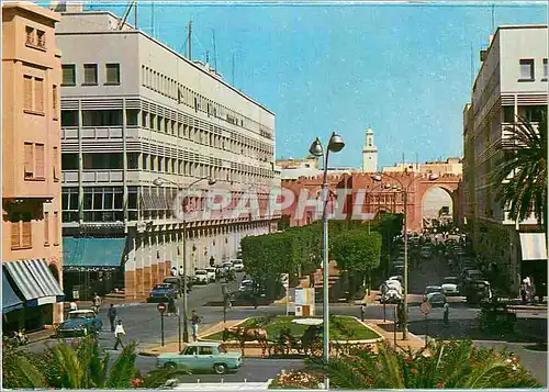 Cartes postales moderne SFAX Avenue Centrale