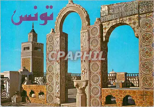 Cartes postales moderne Tunis Terrasse du Palais d'orient