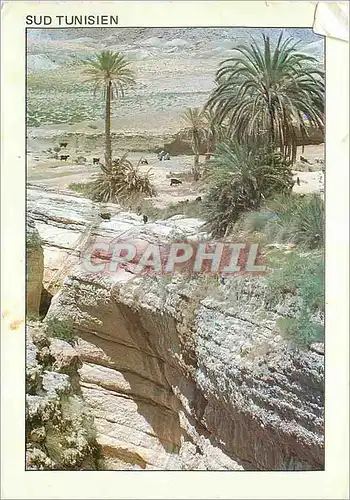 Cartes postales moderne Sud Tunisien une Oasis de Montagne Mides