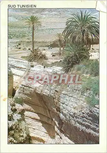 Moderne Karte Sud Tunisien une Oasis de Montagne Mides