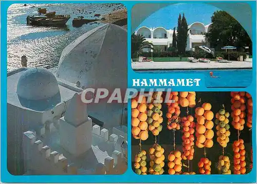 Cartes postales moderne Hammamet et l'Hotel Yasmina