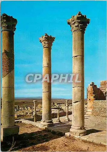 Cartes postales moderne Volubilis