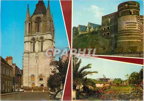 Cartes postales moderne Angers la Tour Saint Aubin le Chateau le Jardin du Mail