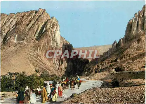 Cartes postales moderne Sud Algerien la Porte du Desert ou Porte d'Or (Cote Sud) Ane Donkey