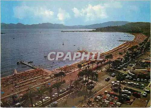 Cartes postales moderne Cannes (A M)la Cote d'Azur