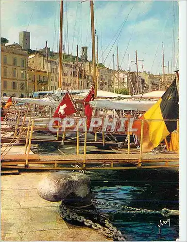 Cartes postales moderne Cannes (Alpes Maritimes)la Cote d'Azur Miracle de la Nature Couleurs et Lumieres de France Batea