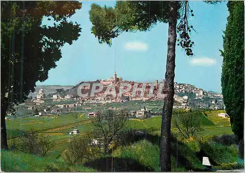 Cartes postales moderne Todi Panorama du Sud