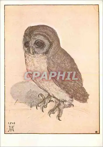 Cartes postales moderne Wien Albrecht Durer Das Kauzlein  Hibou Chouette