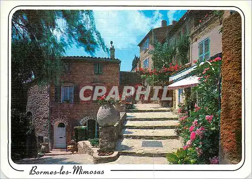 Moderne Karte Bormes les Mimosas (Var) la Cote des Maures