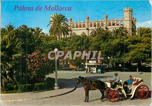 Cartes postales moderne Palma de Mallorca (Baleares) Espana Palma La Lonja