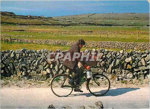 Cartes postales moderne Velo Bringing home the potatoes Ireland